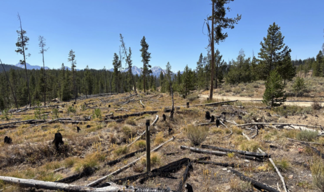 Red Mountain turns attention to Idaho with 'Silver Dollar' antimony project buy